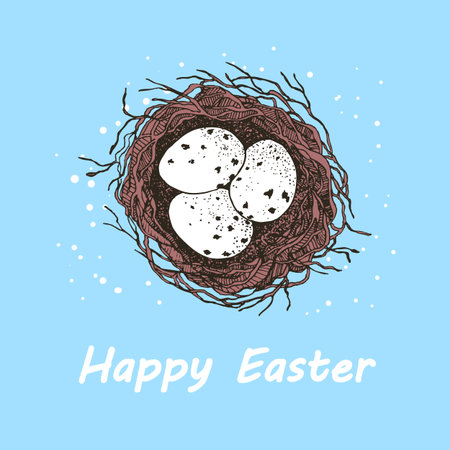Vector Easter banner with eggs in birds nest. Festive background with place for text for flyer. Hand drawn vector illustration, holiday designのイラスト素材