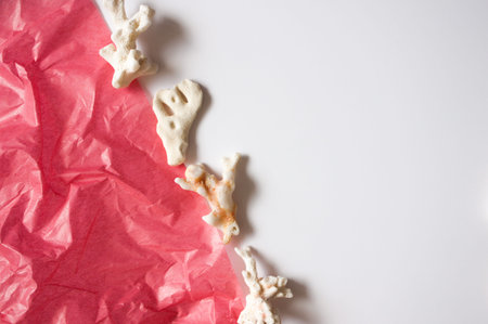 Beautiful coral stones on white and pink background.の写真素材