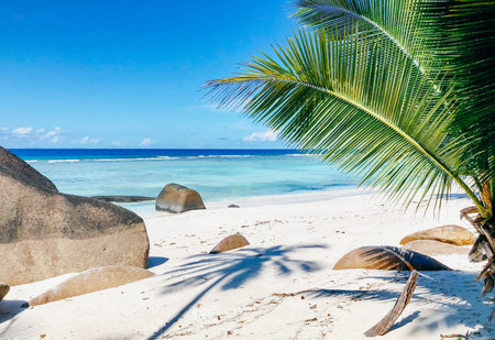 Beautiful beach in Seychelles with rocks and palm trees, blue Indian Ocean and picturesque sky.