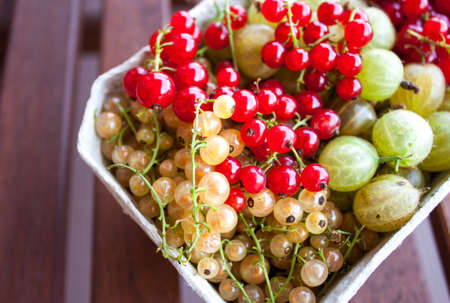 White, red currant and gooseberry mix basket, berries season.の写真素材