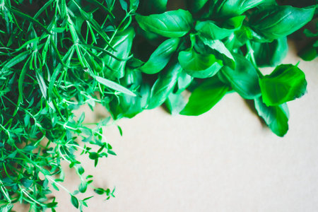 Fresh herbs on kraft paper frame background. Green life.