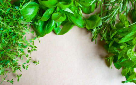 Fresh herbs on kraft paper frame background. Green life.の写真素材