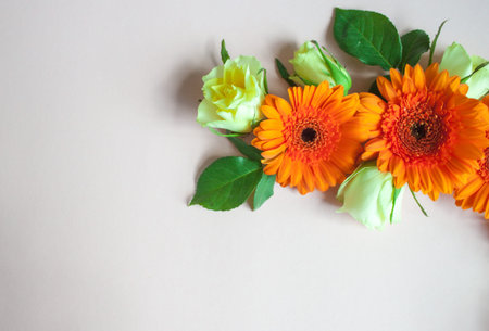 Frame made of orange gerbera flowers and roses on white background. Festive romantic concept.