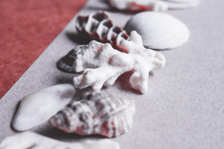 Sea shells, stones, mussels and corals background.