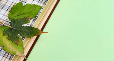 Season layout of summer and autumn leaves and book on mint green color. Nature background. Seasonal concept.の写真素材