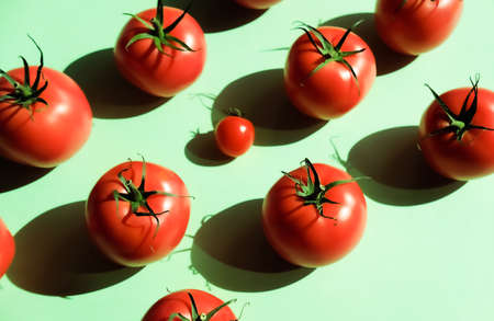 Vibrant red tomatoes pattern on mint green trendy background. Flat lay concept.の写真素材