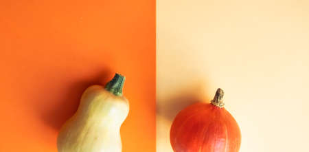 Two multicolored pumpkins on vivid trendy yellow and orange background. Halloween funny holiday banner concept.の写真素材