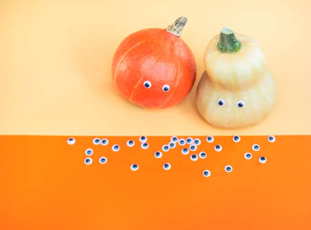 Two multicolored pumpkins on vivid trendy orange background. Halloween funny holiday concept.の写真素材