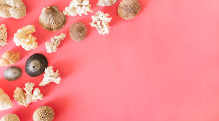 Different sea shells, mussels and corals pattern on pink orange background.