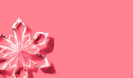 Monochrome pink red Christmas snowflake background. Flat lay style. Holiday trendy minimal concept.の写真素材