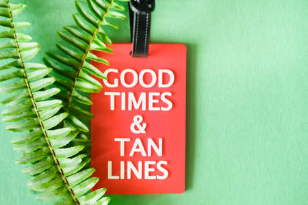 Red happy funny luggage tag and fern leaves on green background. Travel concept. の写真素材