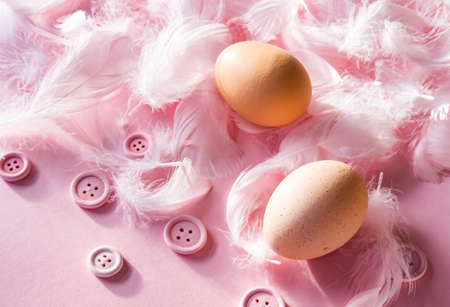 Pastel pink textured feathers and brown fresh eggs background. Trendy festive concept.の写真素材