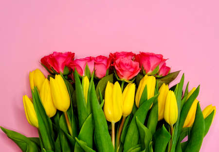 Colorful flowers, pink roses and yellow tulips on pastel background. Festive concept.の写真素材