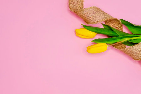 Yellow tulips and burlap ribbon on pink background. Minimal festive concept.