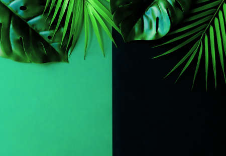 Mix of tropical leaves on green and black backgrounds. Place for text.の写真素材