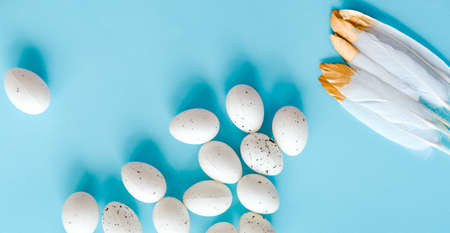Creative Easter layout. White mini eggs and feathers on blue pastel background. Spring holidays concept.の写真素材