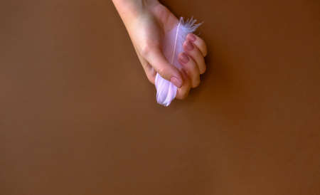 Pink feather in woman's hand on brown background. Flat lay style. の写真素材