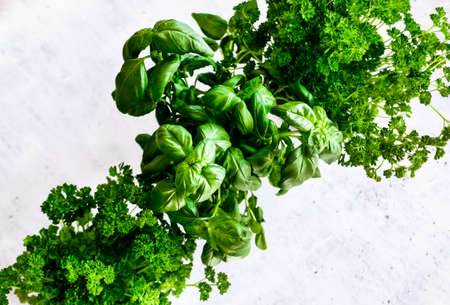 Healthy food clean eating, green fresh parsley and basil plants on gray concrete background top view flat lay.の写真素材