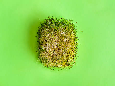 Fresh colorful bio herbs and micro green salad on pastel mint background. Healthy food and lifestyle.の写真素材