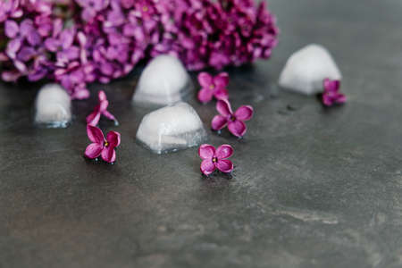 Beautiful vivid lilac flowers and ice cubes on dark background. Flat lay spring time concept. の写真素材