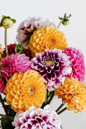 Beautiful colorful dahlia flowers pattern background. Festive concept.の写真素材