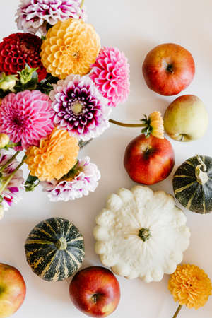 Dahlia flowers, apples, pattypan and squashes on white background.の写真素材