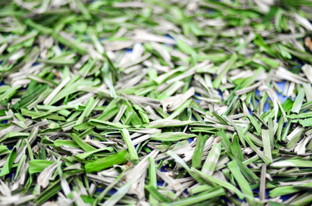 Thai herbs production