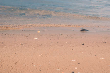 Sea beach in the tropics and the soft wave of the blue ocean. Summer gloomy day and sandy beach with stones background. The concept of summer vacation.の写真素材