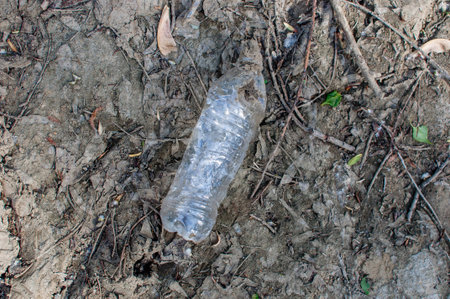 plastic bottle in the forest near the pond. Environmental pollution. Environmental issue and...