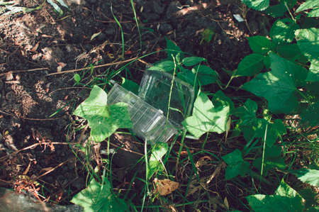 Plastic containers and trash in the forest. Environmental pollution. Environmental issue and disaster. Go Green, Zero Waste, Save the Planet, Earth Day, No Plastic, Recycling Conceptの写真素材