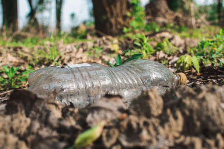 plastic bottle in the forest near the pond. Environmental pollution. Environmental issue and disaster. Go Green, Zero Waste, Save the Planet, Earth Day, No Plastic, Recycling Conceptの写真素材