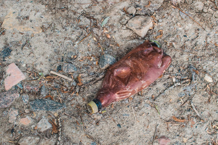 plastic bottle in the forest near the pond. Environmental pollution. Environmental issue and...