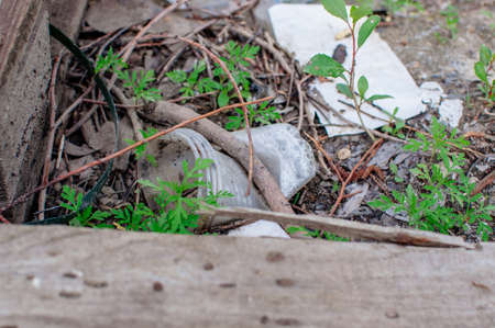 Plastic cup and trash in the forest. Environmental pollution. Environmental issue and disaster. Go Green, Zero Waste, Save the Planet, Earth Day, No Plastic, Recycling Conceptの写真素材
