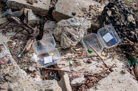Plastic containers and trash in the forest. Environmental pollution. Environmental issue and disaster. Go Green, Zero Waste, Save the Planet, Earth Day, No Plastic, Recycling Conceptの写真素材