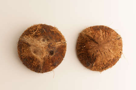 two halves of coconut shell on a white background, isolate. Future food bowls zero waste. Environmentally friendly material for dishes. Copy space.の写真素材