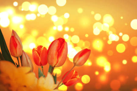 background with red tulips on a blurry texture bokeh. Beautiful card for mother's day, Valentine's day, women's day. banner with copy space for text. Template for congratulations.の写真素材