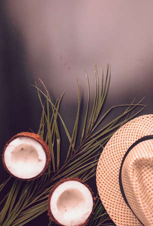 Summer composition with neon lights. Tropical palm leaves, hat, coconut on a dark background. The concept of the summer season, parties and heat. Flat lay, top view, copy spaceの写真素材