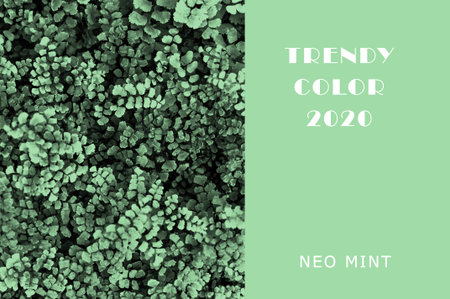 Ivy plant in Neo Mint color. Juicy tones in a new mint color. Abstract light green background with...
