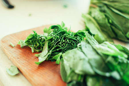 Young green sorrel sliced for borscht and salad lies on a cutting board, rustic style, in the morning in the sunlight. Copy space.の写真素材