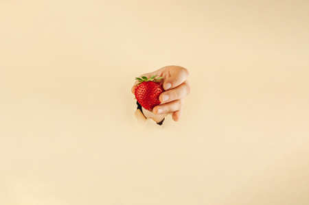 The girl holds with her fingers a red ripe strawberry. A womans hand in torn paper holds a berry. Online shopping concept.の写真素材
