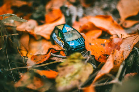 toy car is standing in the leaves in the forest. metal sports car in the fall on the ground early in the morning. Warm autumn landscape.の写真素材