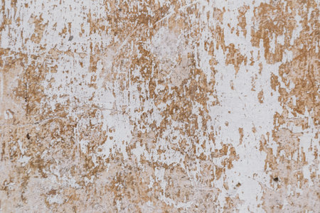 The wall is covered in peeling paint and has a rough texture. The color of the wall is white and the...
