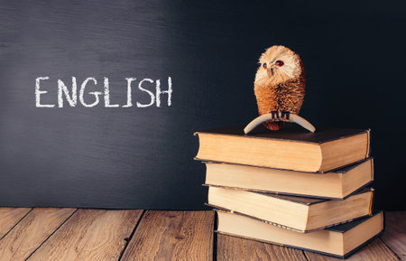 A small owl is sitting on top of a stack of books. The books are arranged in a pyramid shape, with the owl sitting on top of the middle book. The owl is surrounded by the booksの写真素材