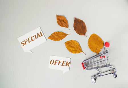 A carton filled with leaves, featuring a sign that reads Special Offer, suggesting a promotional sale or discount related to gardening or seasonal items.の写真素材