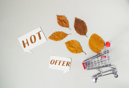 Shopping cart with leaves on it and the words hot offer written below it. Concept of excitement and urgency, as if the offer is limited time or exclusiveの写真素材