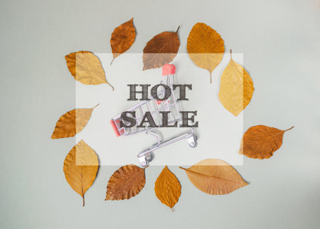 Shopping cart is surrounded by leaves and the words hot sale are written in the centerの写真素材