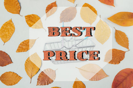 Picture of leaves with the words Best Price written underneath. The leaves are scattered all over the image, creating a sense of abundance and variety. The combination of the natural elementsの写真素材