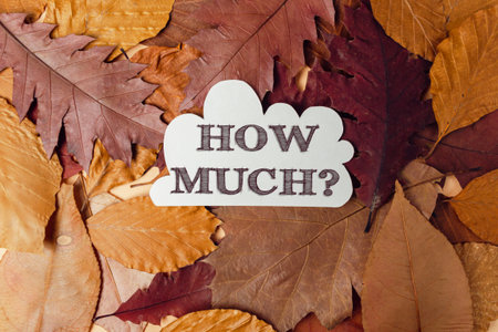 Pile of autumn leaves with the words How much written on top. Concept of curiosity and wonder about...