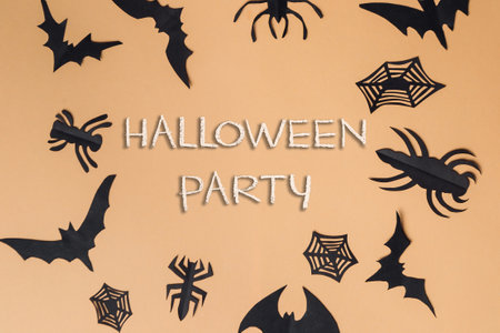 Halloween party with bats and spiders. The bats are black and the spiders are black and whiteの写真素材
