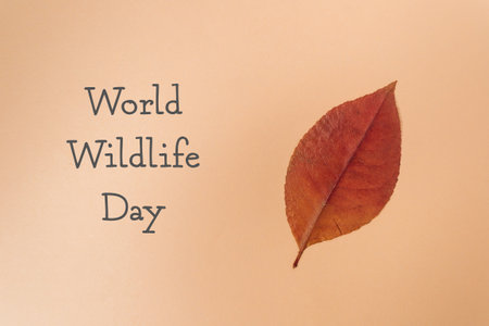 Leaf is on a brown background with the words World Wildlife Day written below it. The leaf is the main focus of the image, and the brown background creates a warm and inviting atmosphereの写真素材